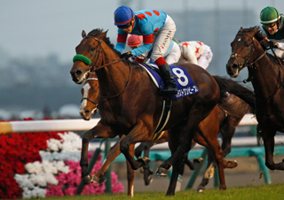 【馬コミュ】　有馬記念やホープフルS、東京大賞典など有力馬仕上がり情報