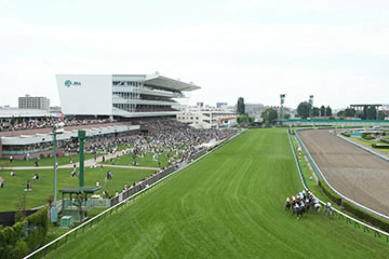 札幌競馬場の特徴と重賞は? みんなの競馬オンラインサロン 馬コミュ 札幌競馬場の特徴と重賞は? みんなの競馬オンラインサロン 馬コミュ